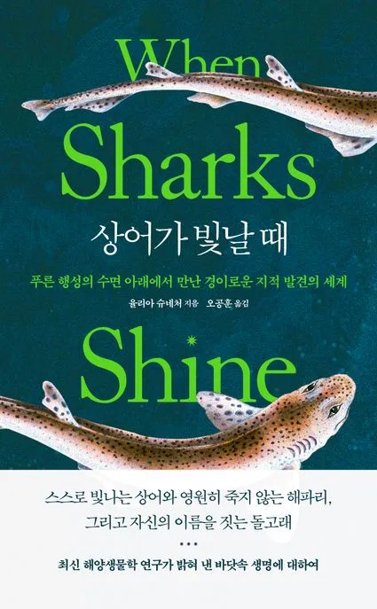 상어가 빛날 때 표지