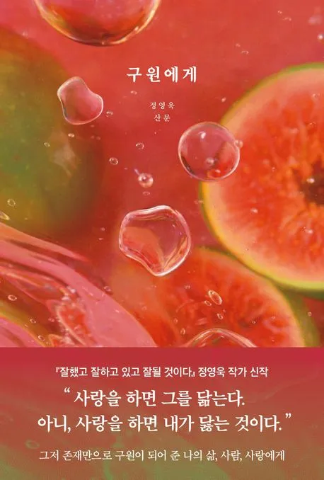 구원에게 표지