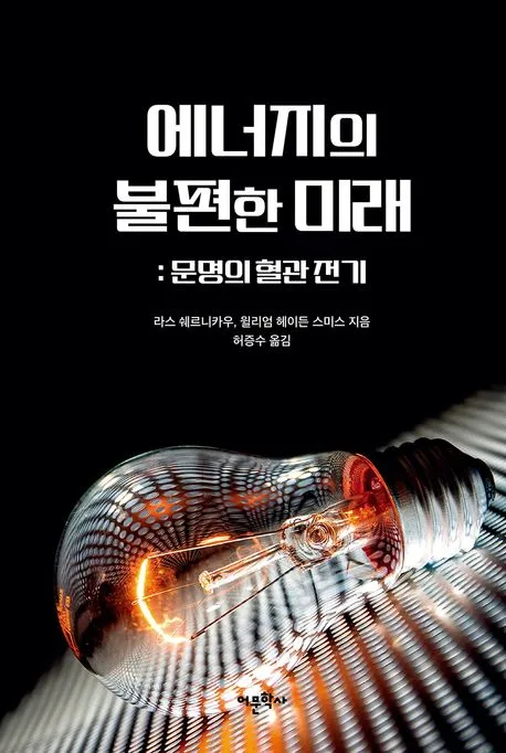 에너지의 불편한 미래 - 문명의 혈관 전기 표지