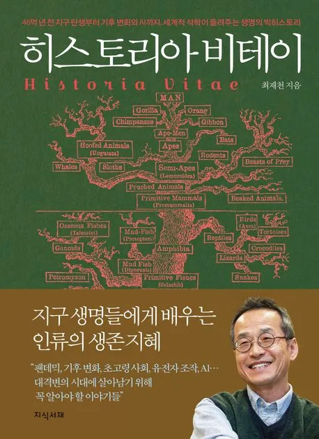 히스토리아 비테이 표지
