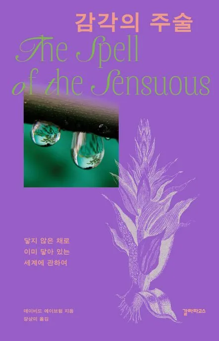 감각의 주술 표지